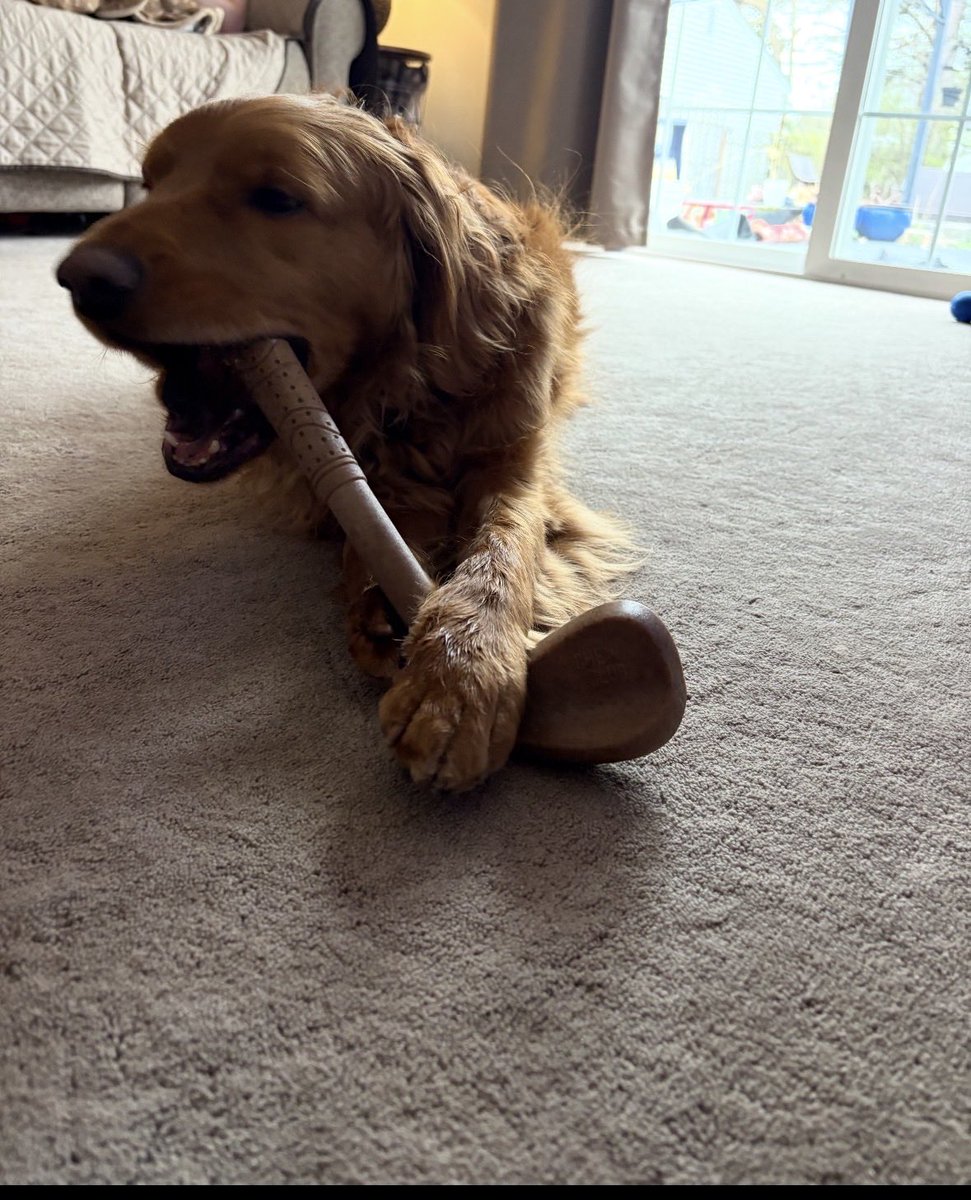 Cooper Jack & Biggie Smalls tweet media