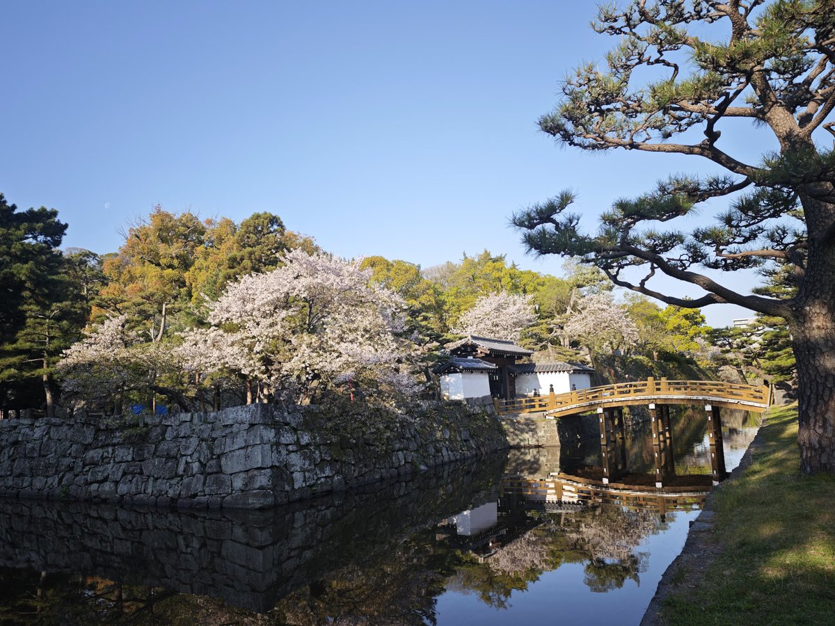 温泉小僧(온천애송이) tweet media