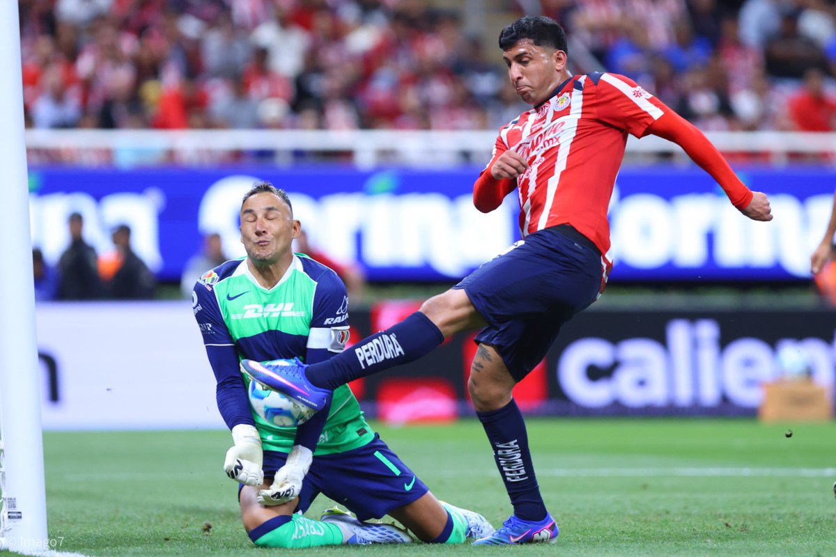 PUMAS tweet media