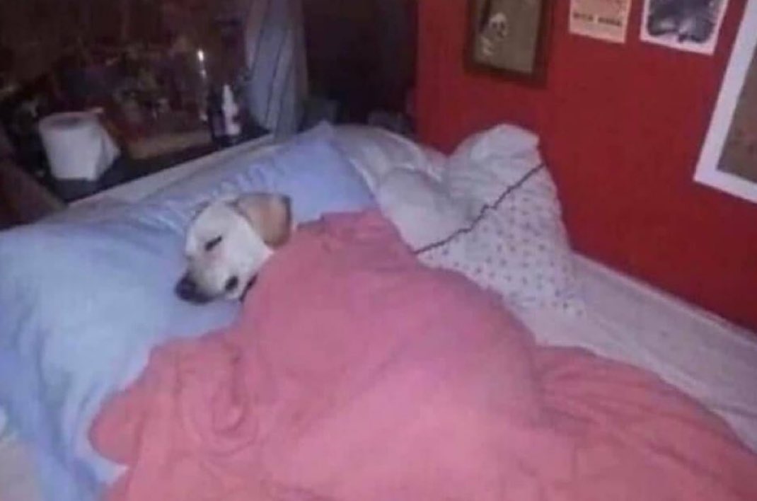 yo a las 5 minutos de escuchar como llueve