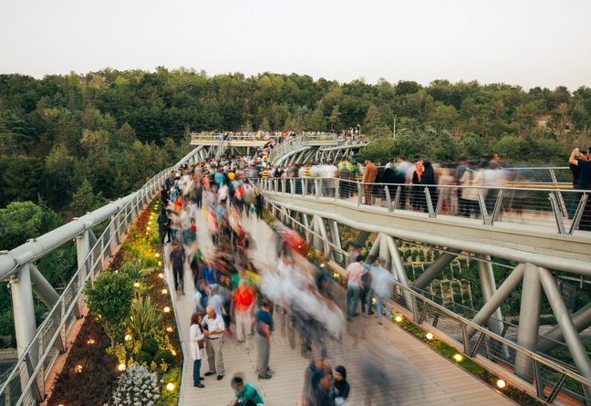 Jon Letman tweet media