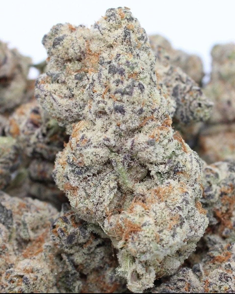 Fernand49034227's tweet image. Ganja 
#cookies #OG #indica