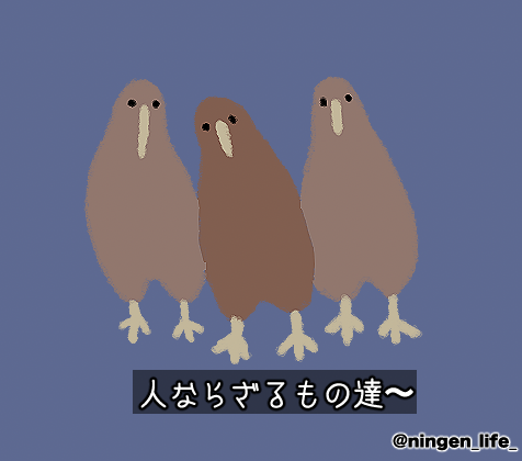 ningen_life tweet media