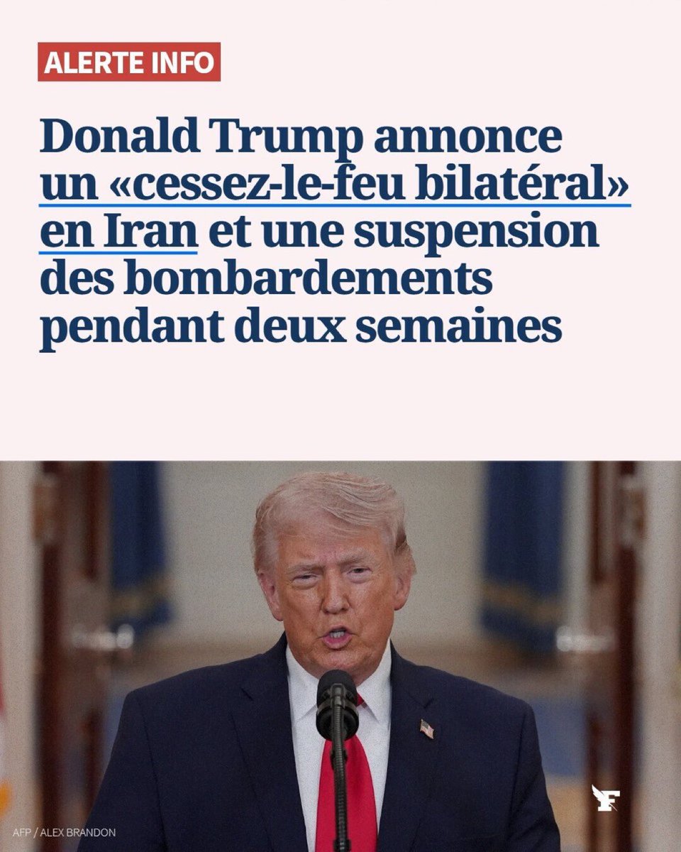 jeunes journalistes sans frontières tweet media