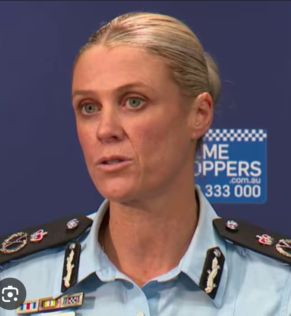 Timjbo 🇦🇺 tweet media