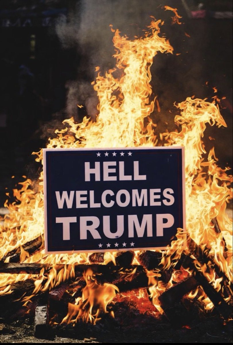 PEACE & LOVE 🪺🐦‍⬛ tweet media