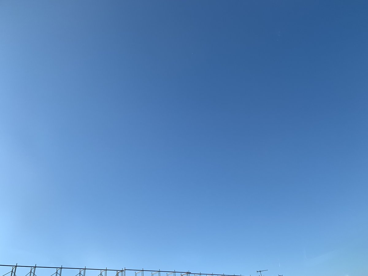 まるも🐼（🍀の中のひと） tweet media