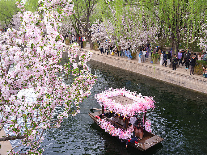 ChinaDaily's tweet image. April is when #Beijing truly shines. Locals flock to the city's #parks to soak up spring — where breezes send crabapple flowers drifting onto the lake, turning it into a "flower stream". Over the Qingming holiday, parks across Beijing welcomed 5.94 million visitors. Don't miss
