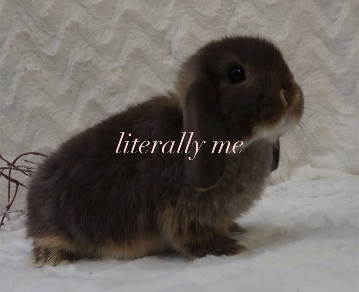 ଘ(੭*ˊᵕˋ)੭* ੈ♡‧₊˚ tweet media