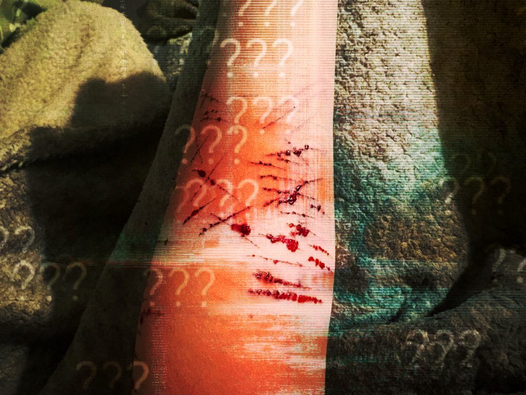 rav // ragatha of shedtwt !! tweet media