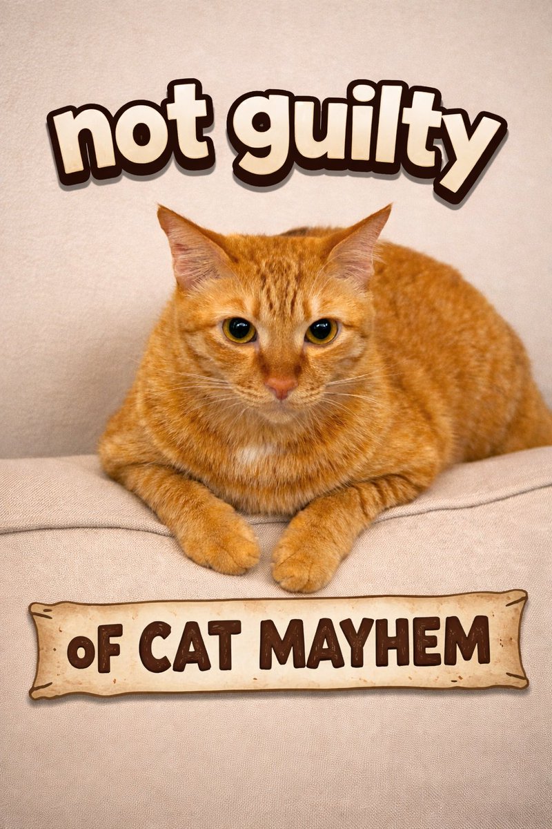 GingerBois tweet media