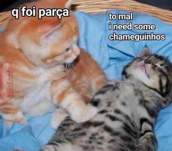 memes extremamente horríveis (ou bons) tweet media