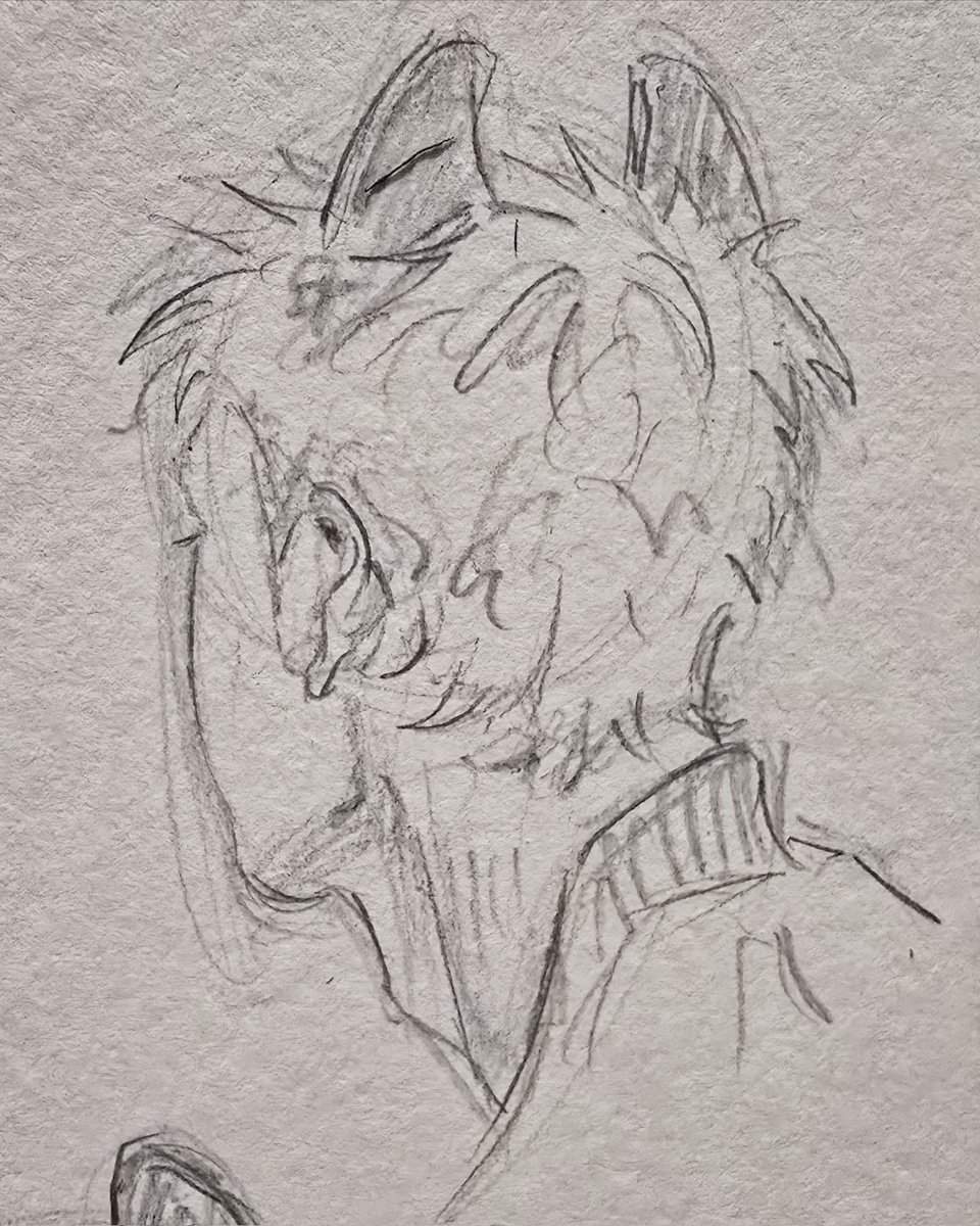 bunny 🐛 tweet media