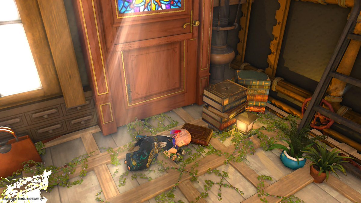 Halu Ames@unicorn tweet media