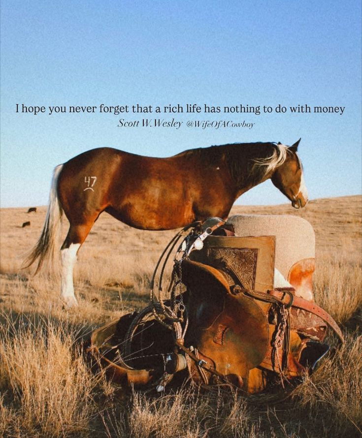 Michael Doyle tweet media