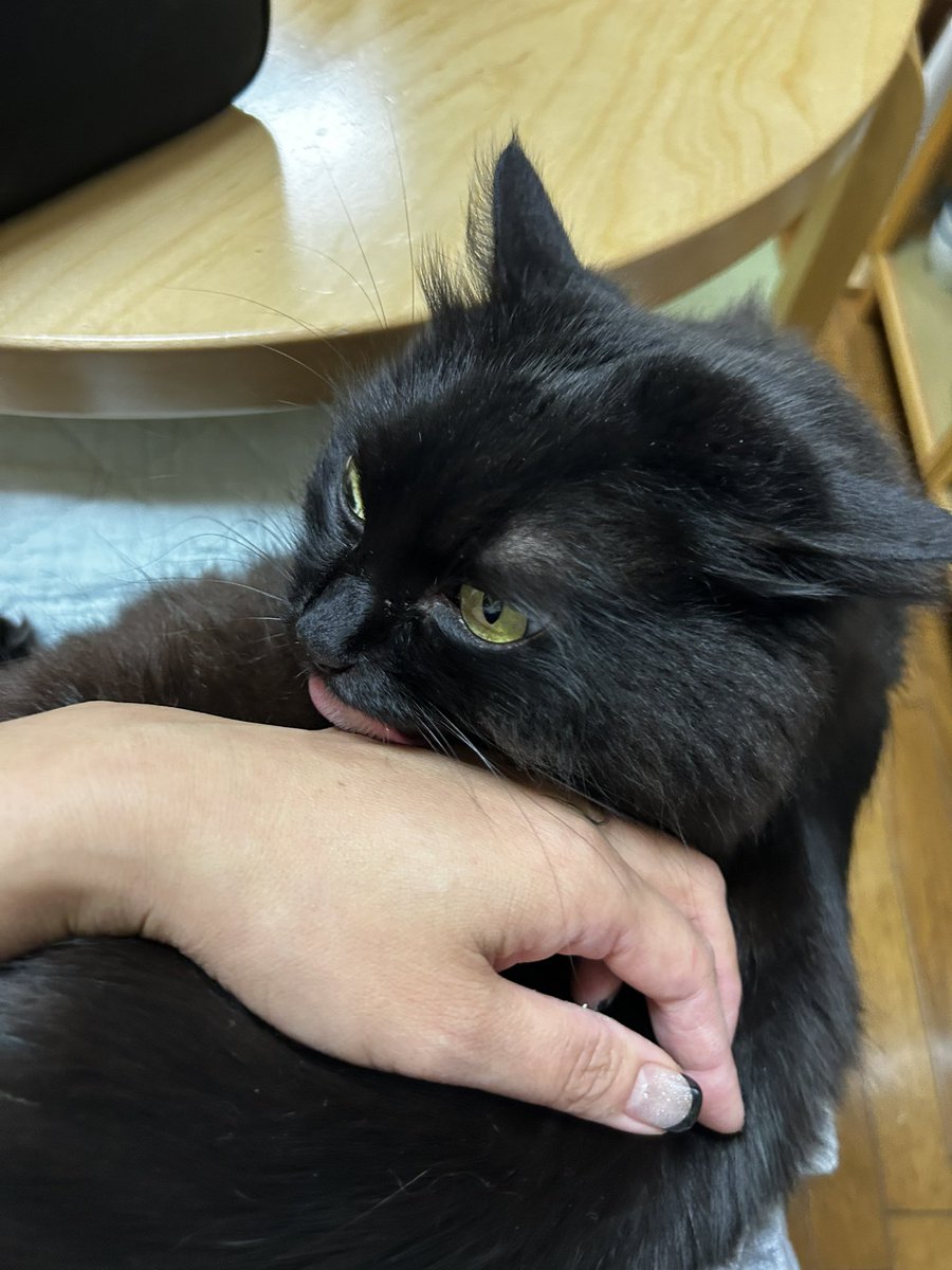 Pinoko@49yo tweet media