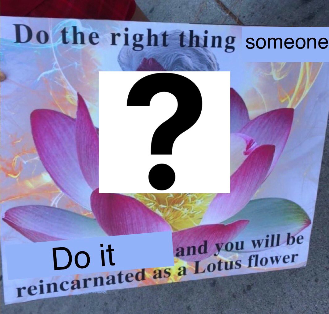 679 Enthusiast tweet media