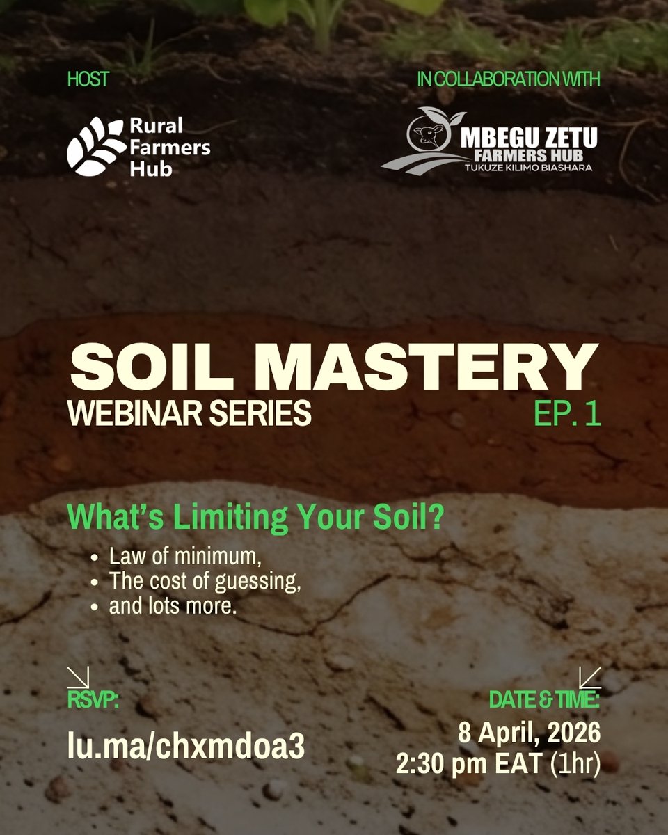 Gebu Releze tweet media