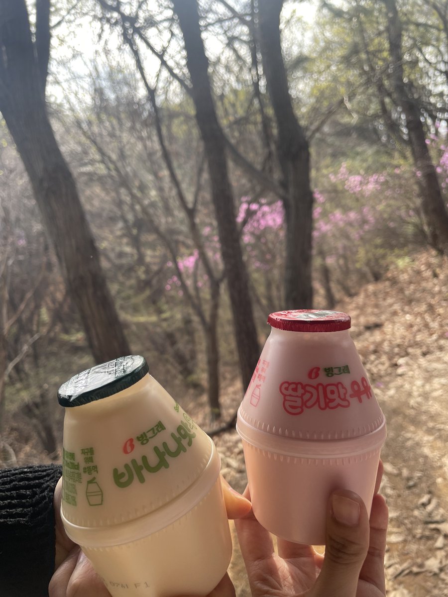 ʕ ˙Ⱉ˙⠕ʔ ティーン 🥨 tweet media