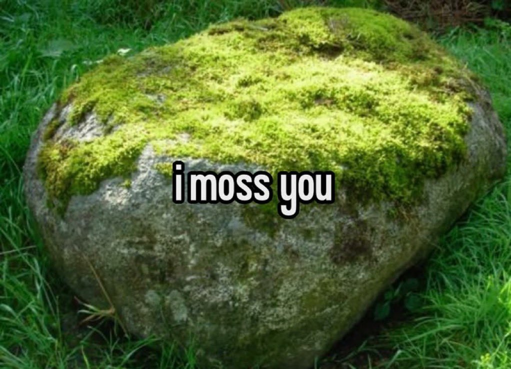 Me & Who? tweet media