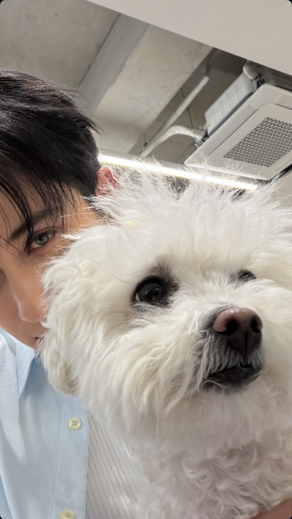 ângelo — ALEBI AU ✍️ tweet media