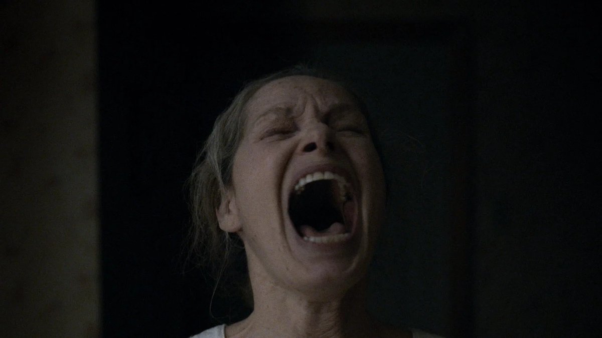 Alerta Locadoras do Terror tweet media