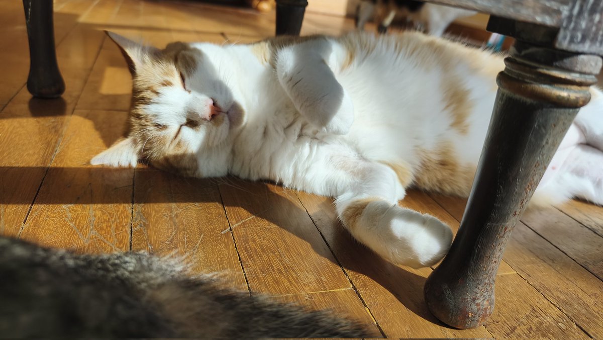 🌸 Kaori Loves Boba 🧋 tweet media