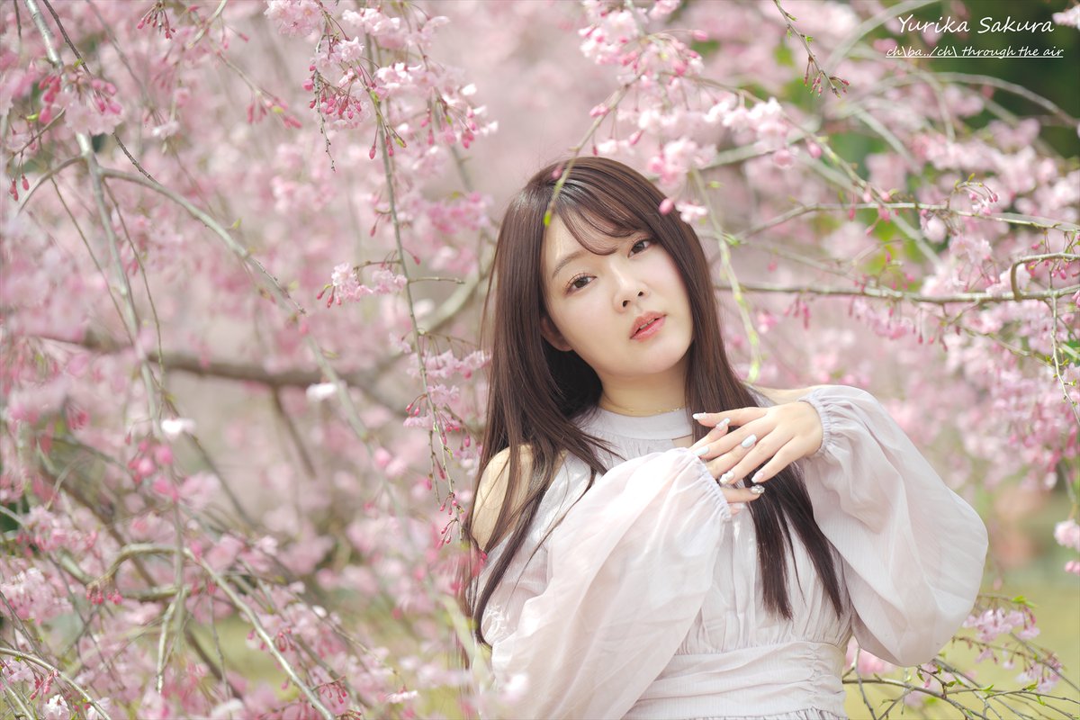 ちばっちの空気を貫けてぇ tweet media