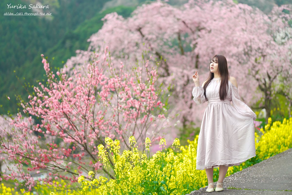 ちばっちの空気を貫けてぇ tweet media