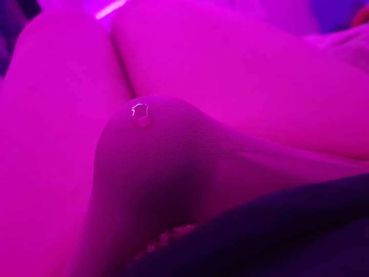 ¤》🔪Spy🔪《¤ tweet media