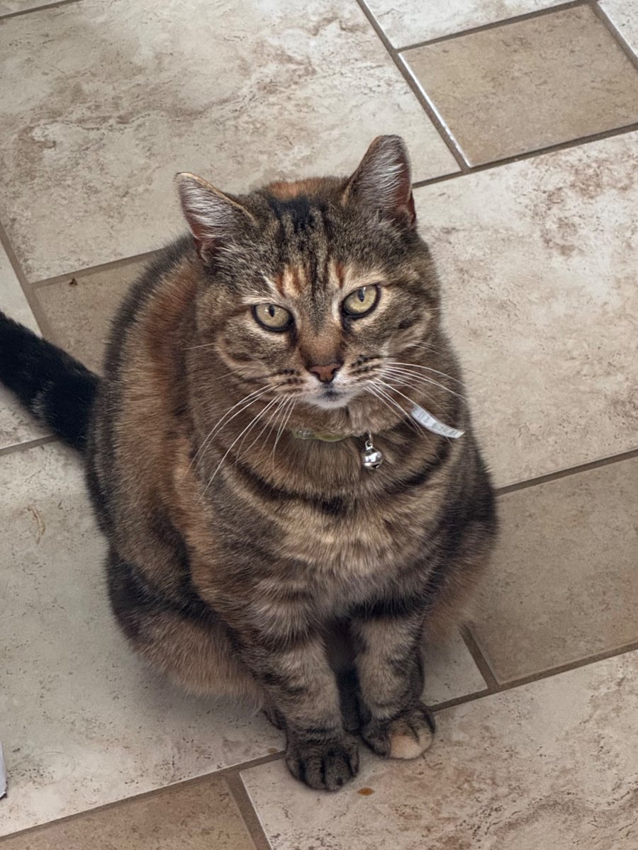 MundoMan4 tweet media