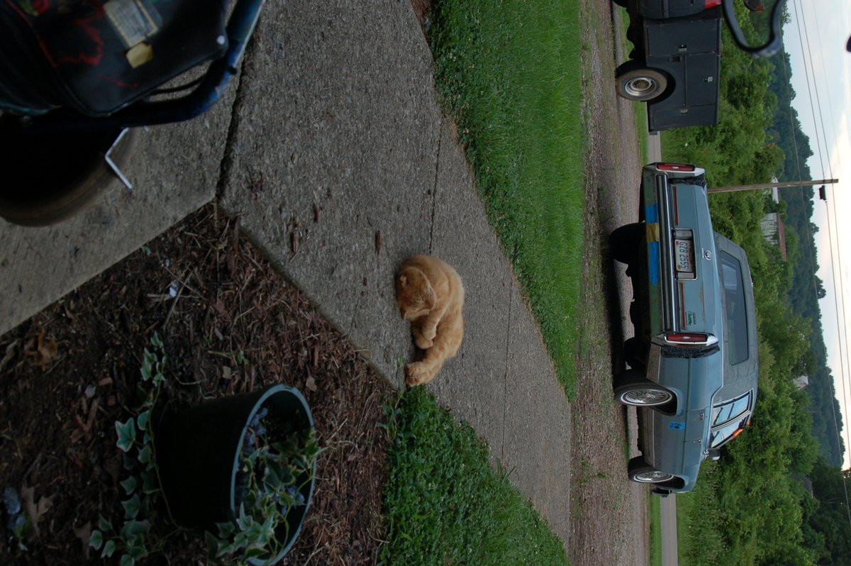 Kevin Michael Callihan Sr. tweet media