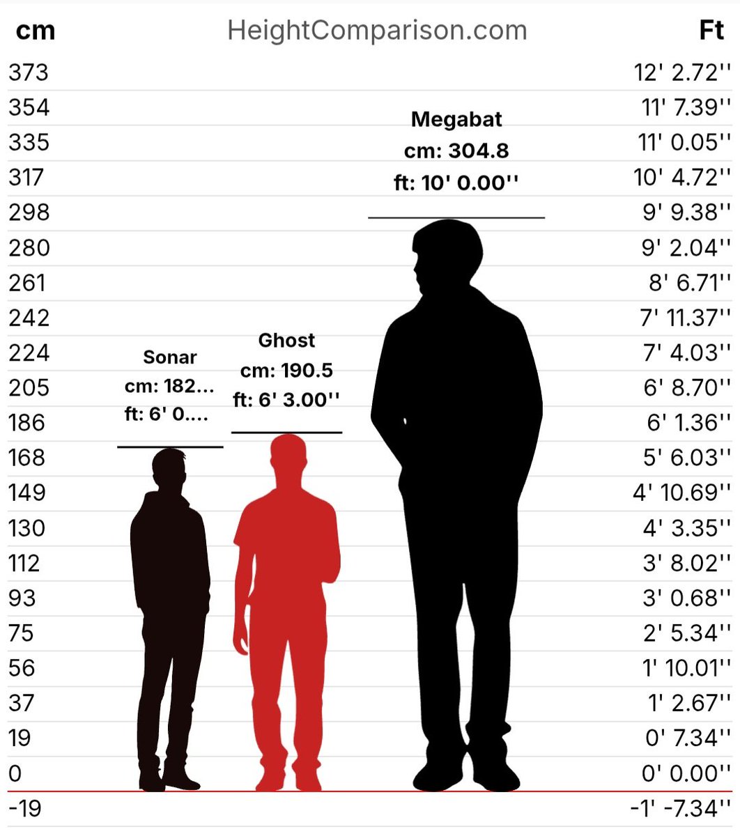 𝐒𝐎𝐍𝐀𝐑 tweet media