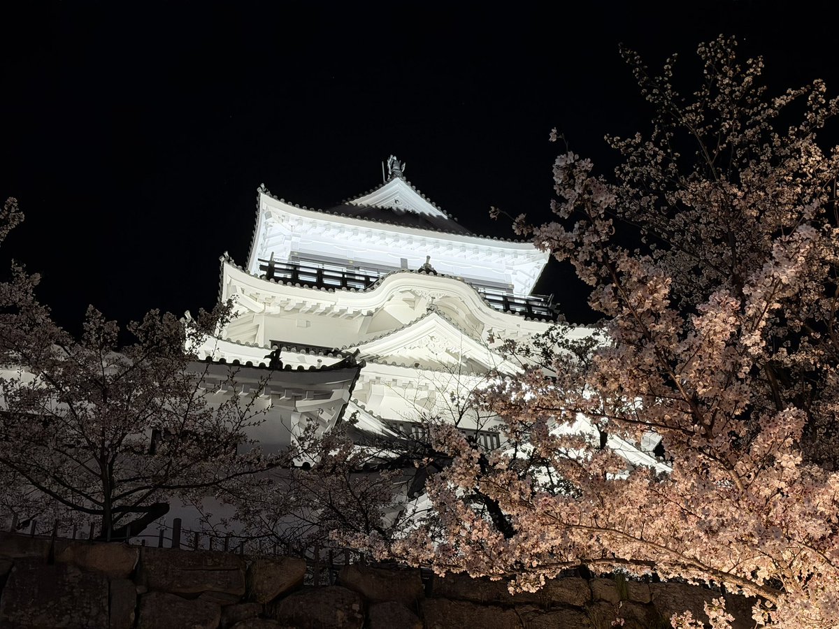 ひいろ✩゛ tweet media