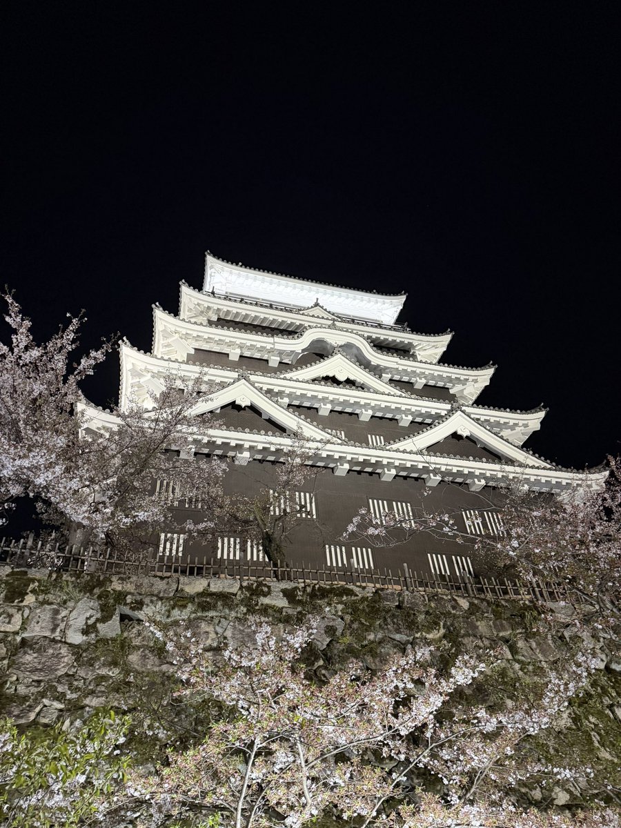 ひいろ✩゛ tweet media