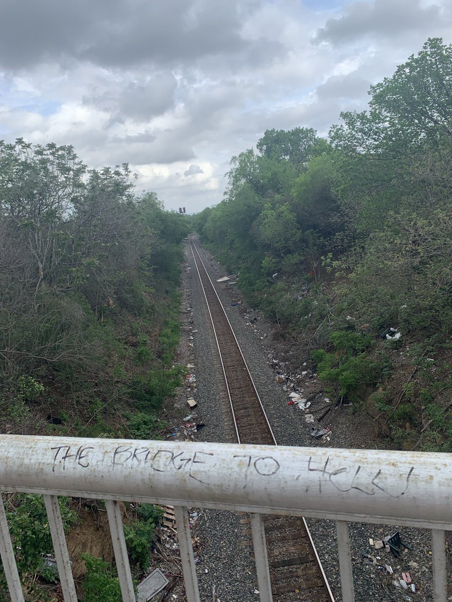 Angela Shen tweet media