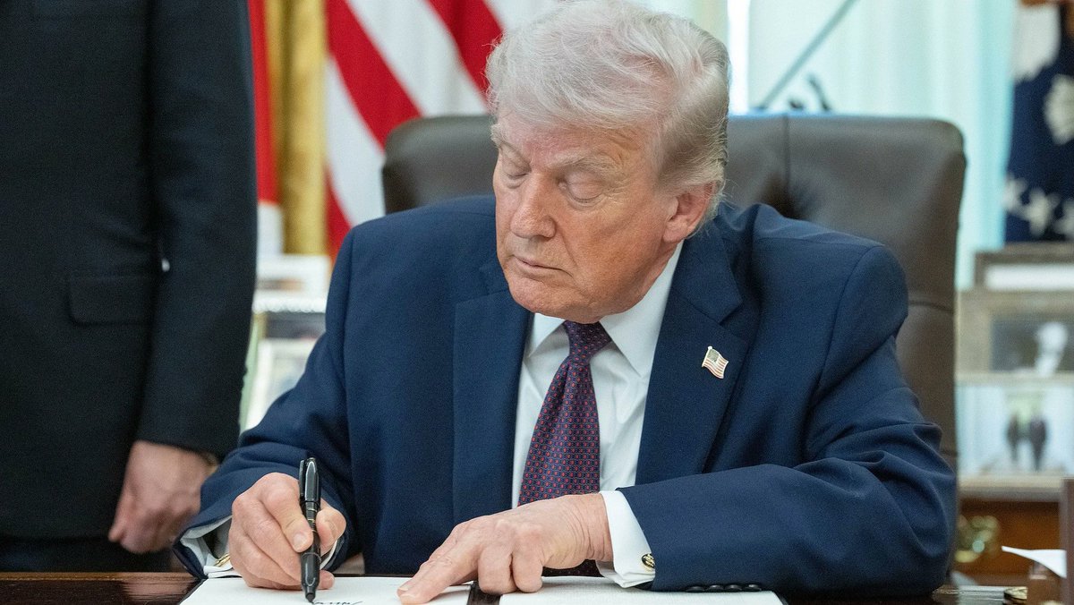 Nûmedya24 tweet media