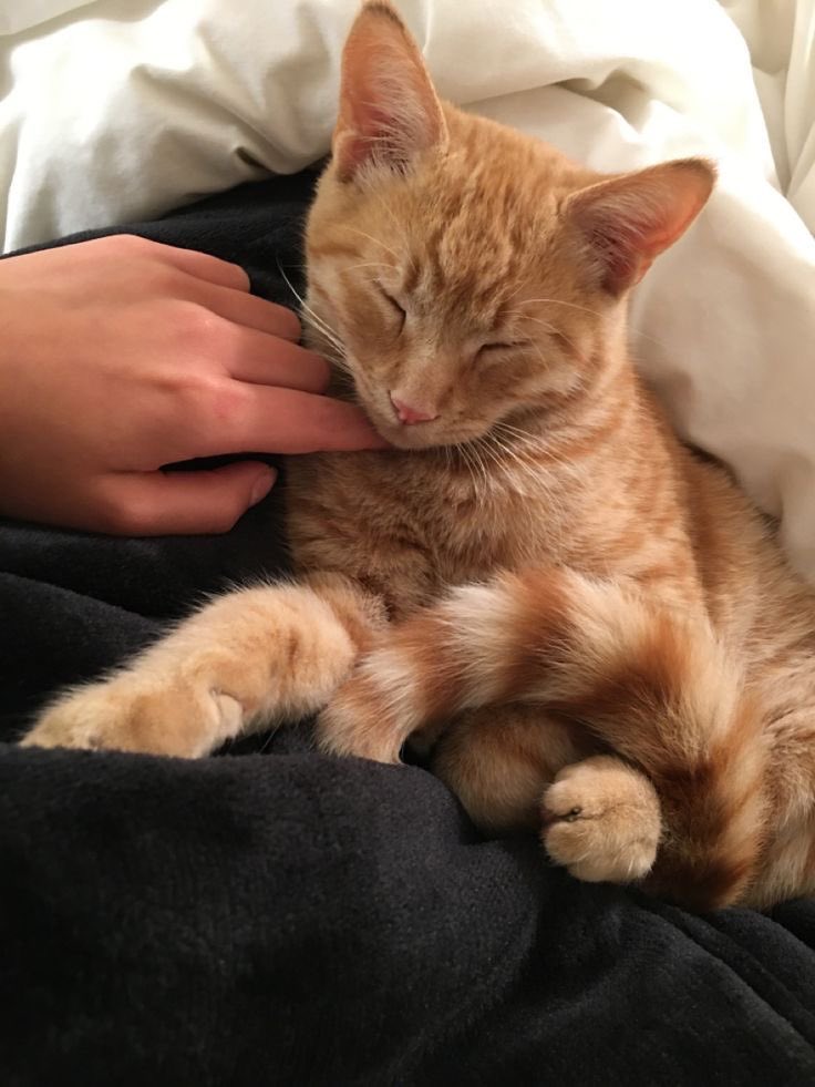 jonathan. tweet media