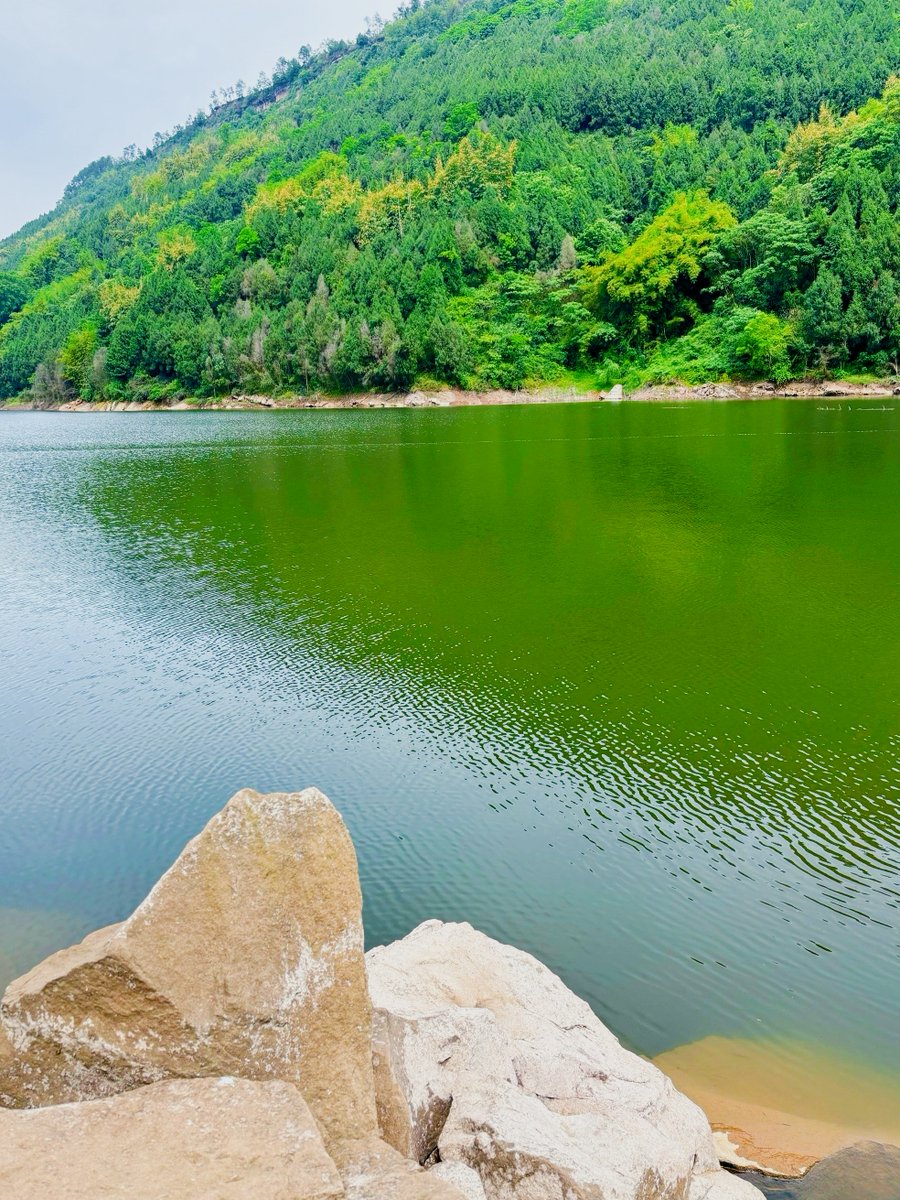 Claire Cronkhite tweet media