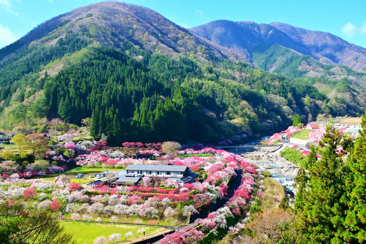 （株）むう企画【公式】 tweet media