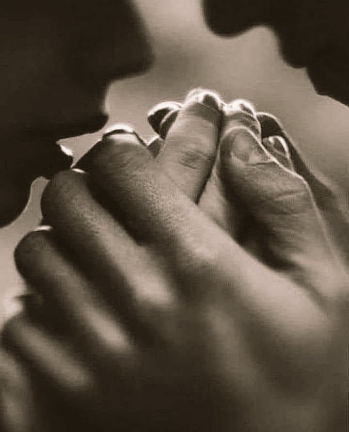 "Negarse al amor por miedo a 
 sufrir, es como negarse a vivir 
          por miedo a morir".

           - Jim Morrison,