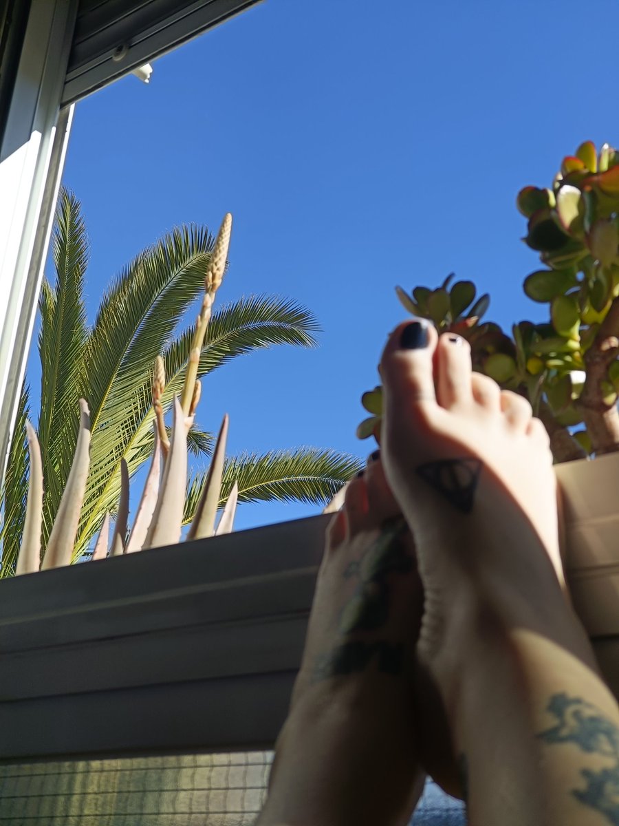 Sra Crowley tweet media