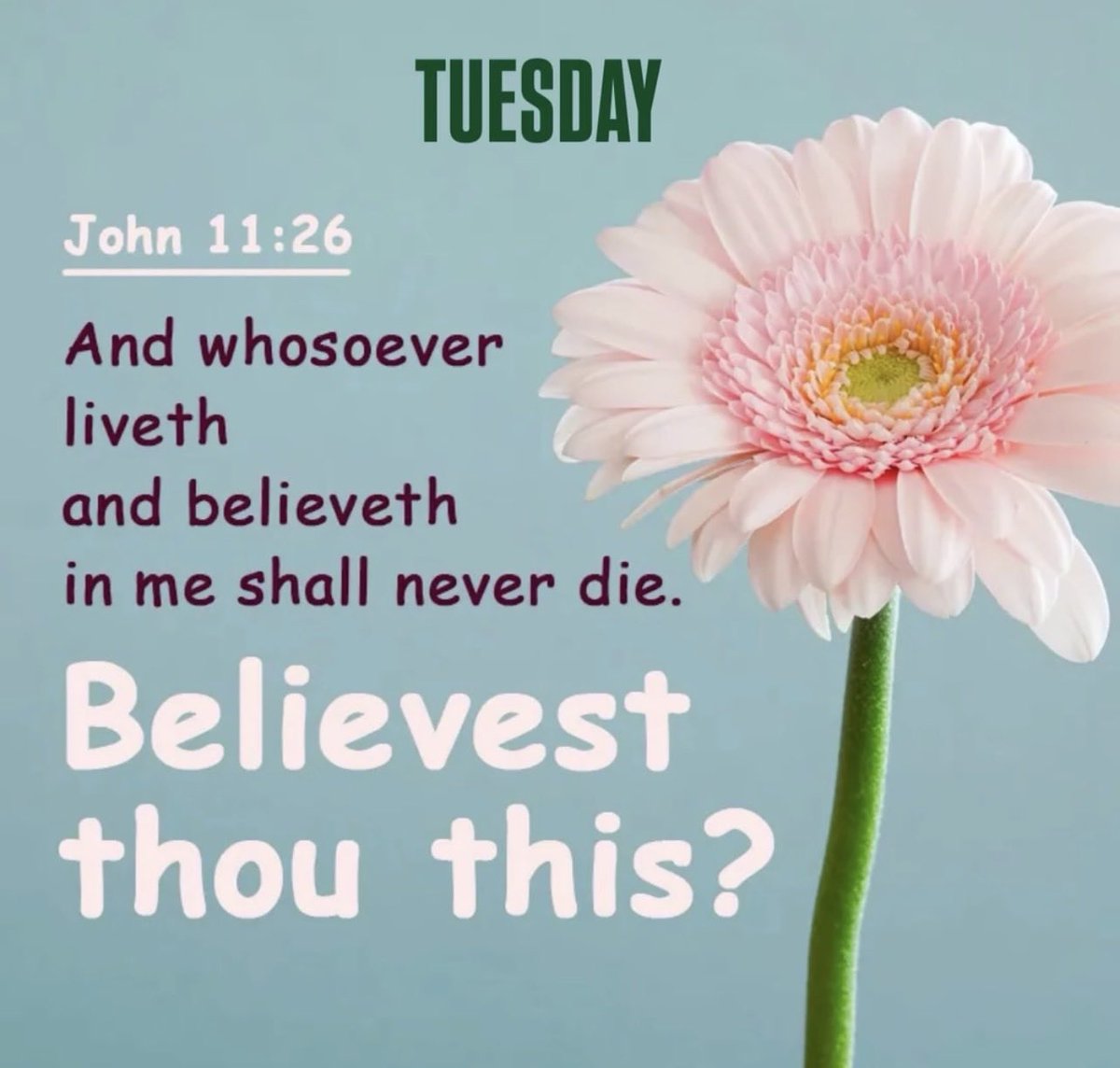 Henry Braxton tweet media