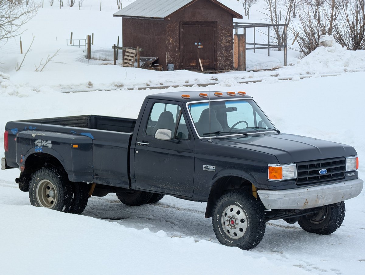 Gun Gnome tweet media