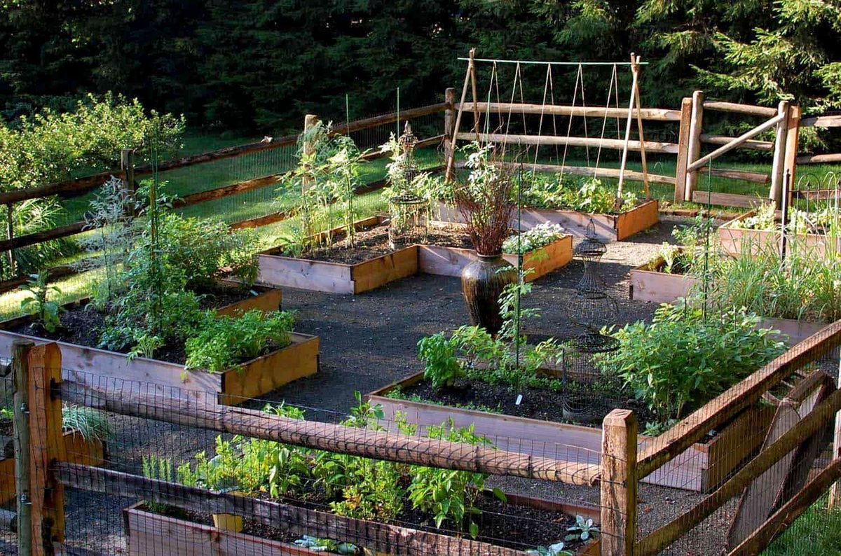 OneKindesign's tweet image. 20+ Creative And Inspiring Raised Bed Vegetable Garden Ideas 
onekindesign.com/raised-bed-veg…