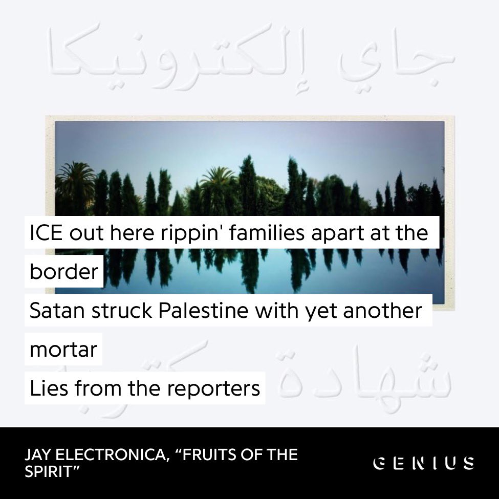 Dobson 🦋 tweet media