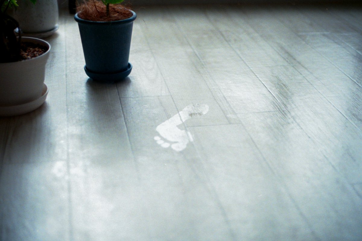 オオツキ トシアキ tweet media