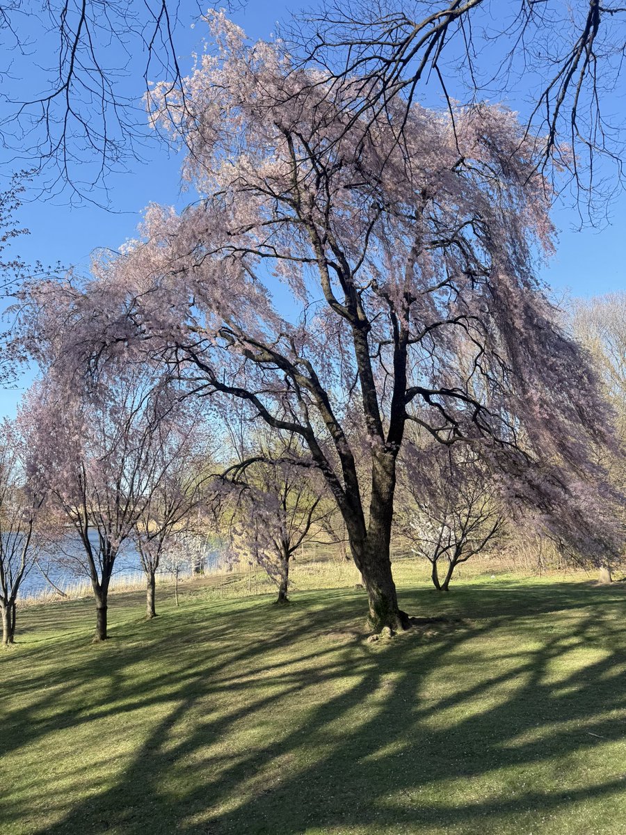 DeFi Dave tweet media