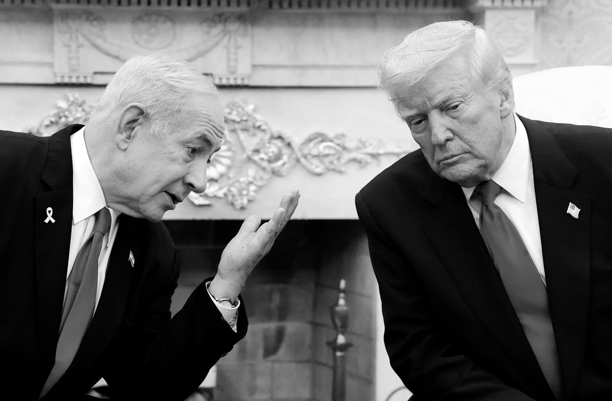 تمرة • tmrrah tweet media