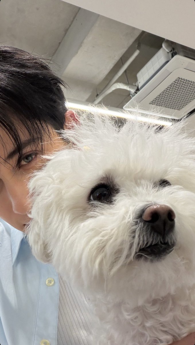 𝙘𝙝𝙚𝙧𝙧𝙮 tweet media